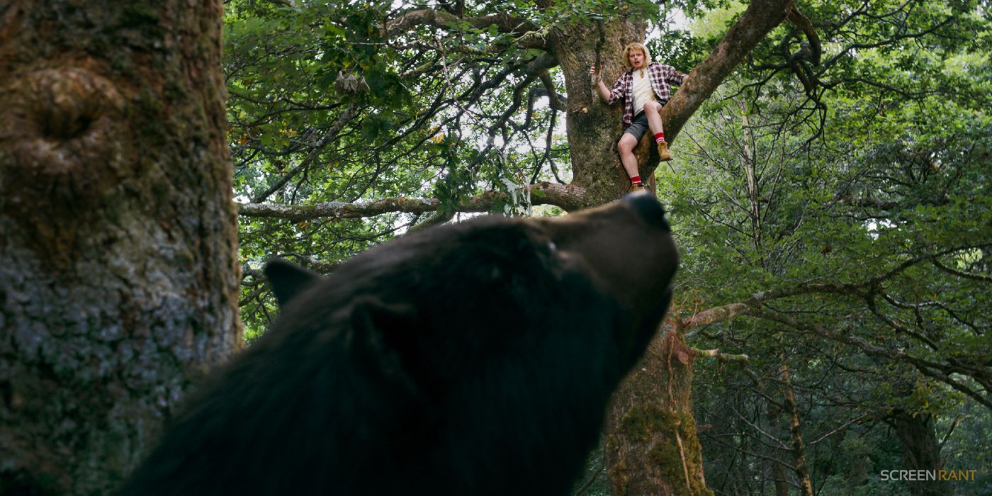 Cocaine Bear Eyes Its Next Victim In New Photo [EXCLUSIVE]