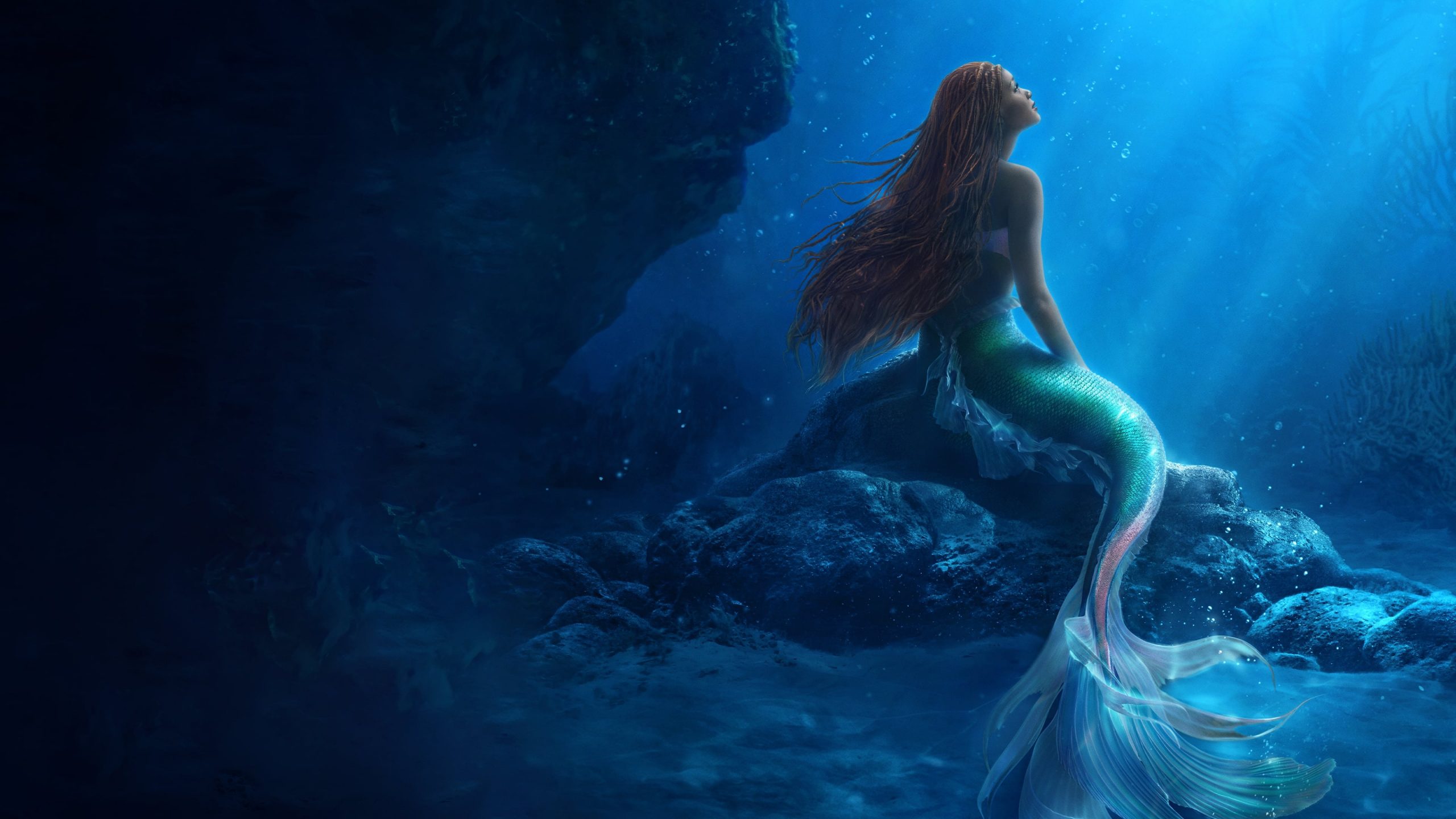 The Little Mermaid Review Flickreel
