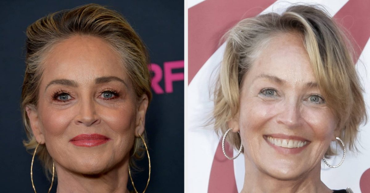 Sharon Stone No Roles For 20 Years Because Of Stroke