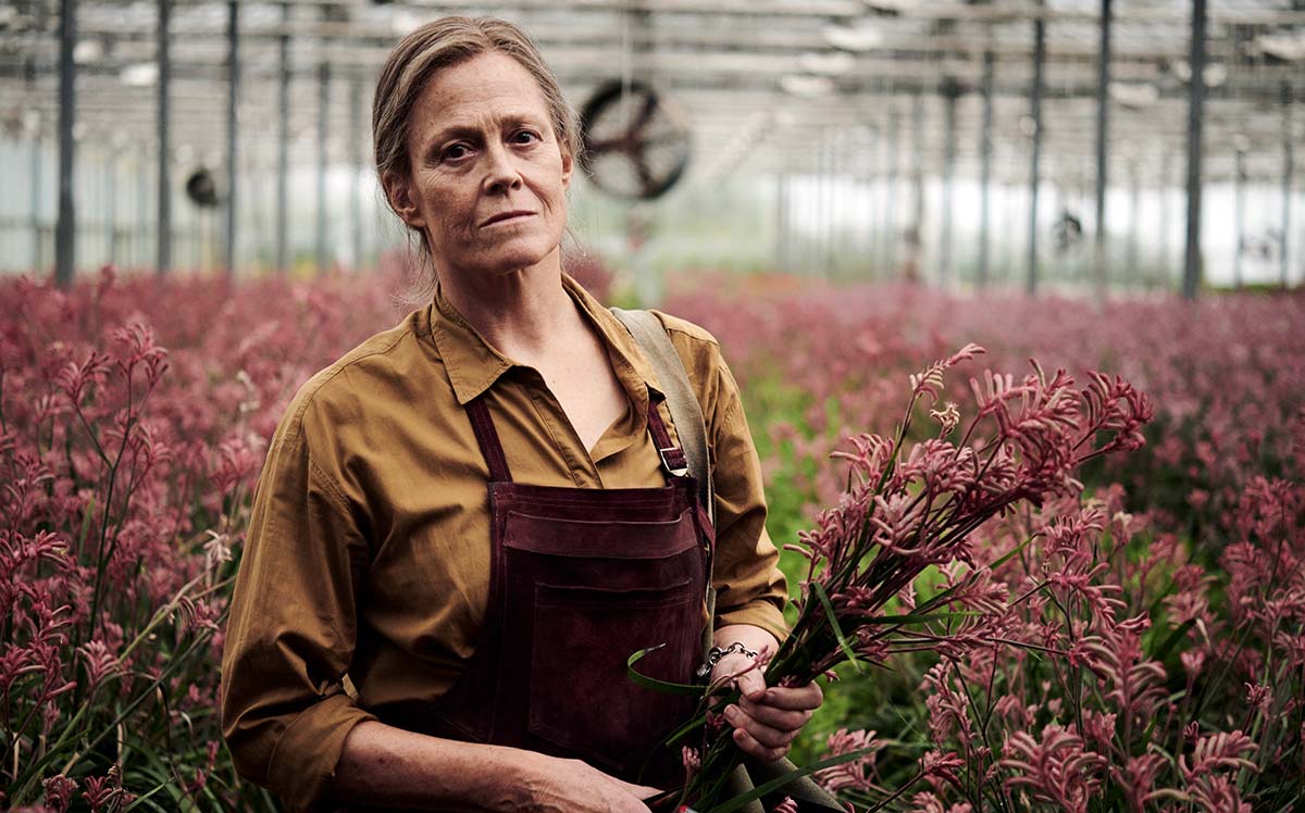 Sigourney Weaver Stars In A Secrets & Heartbreak Prime Series For August