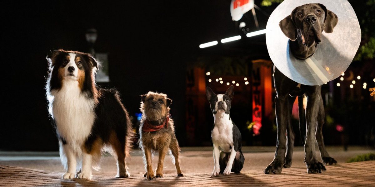 Will Ferrell & Jamie Foxx Are A Great Duo In Awkward Comedy