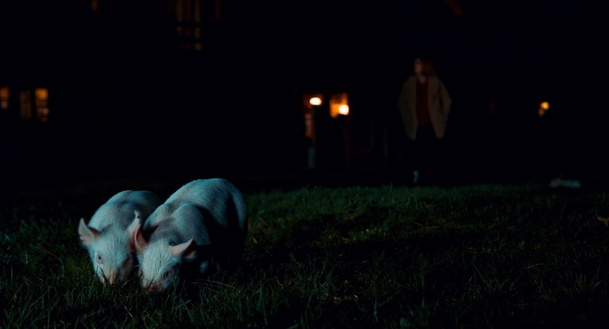 Piglady Review: A Missed Opportunity for Campy Goodness