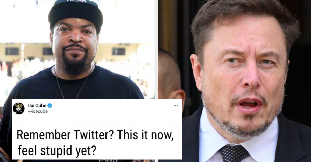 Ice Cube Just Dragged The Hell Out Of Elon Musk In One Single Tweet Or X Or Whatever