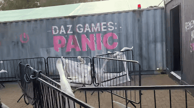 Daz Games Panic Review: A Unique Scarefest Attraction