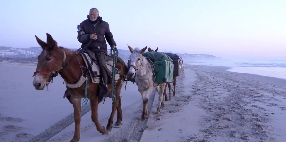 Call Me Mule Featured, Reviews Film Threat