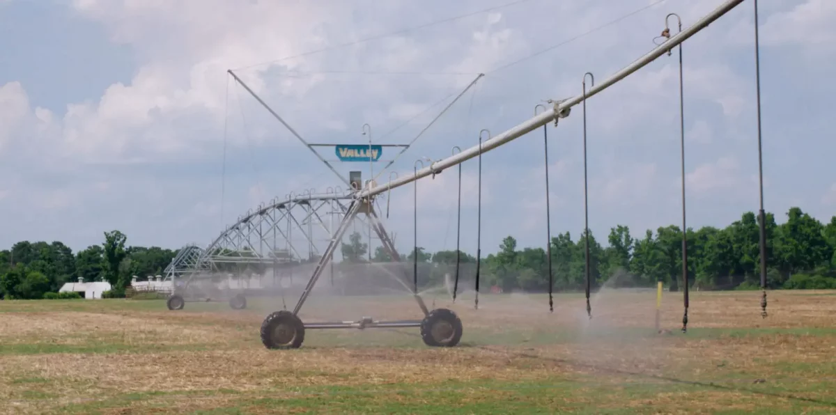 The Smell of Money Featured, Reviews Film Threat