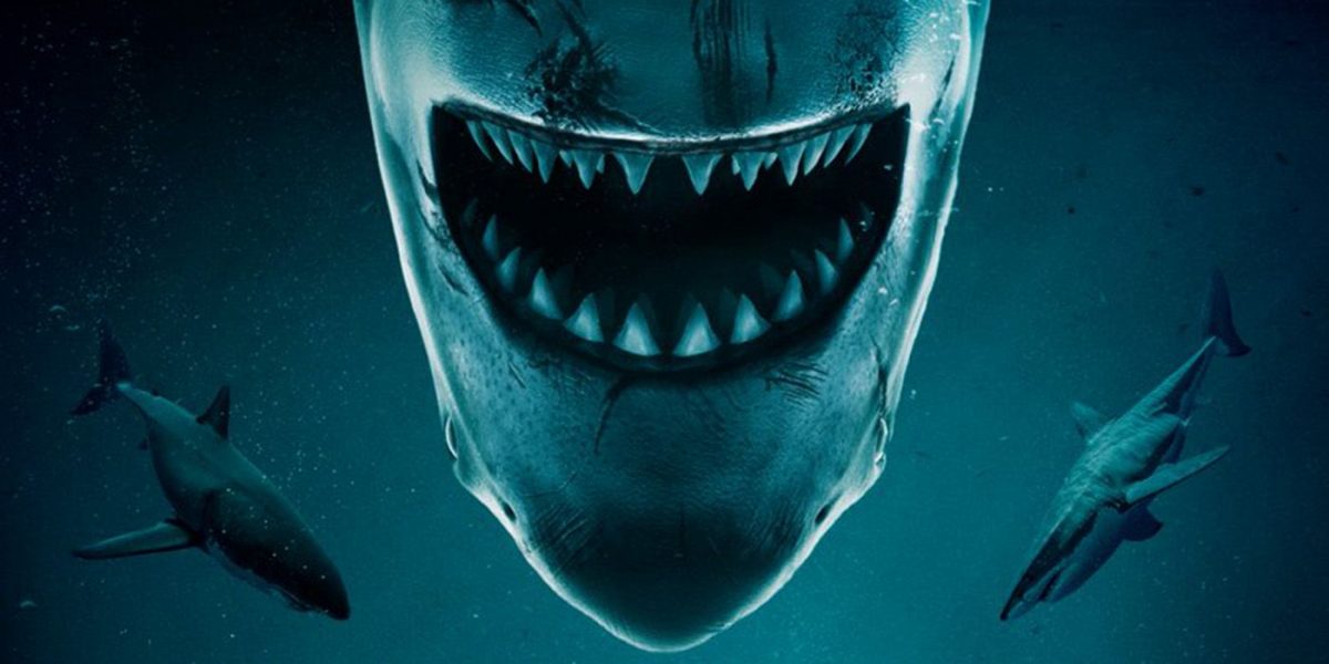 ‘No Way Up’ Trailer Combines Shark Horror and a Plane Crash
