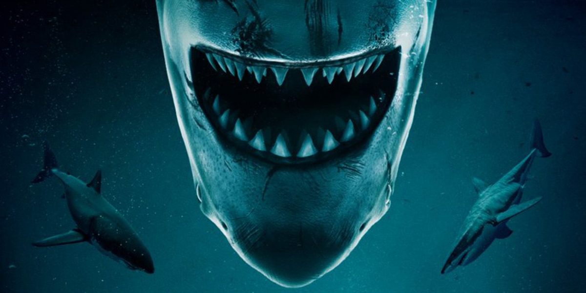 ‘No Way Up’ Trailer Combines Shark Horror and a Plane Crash