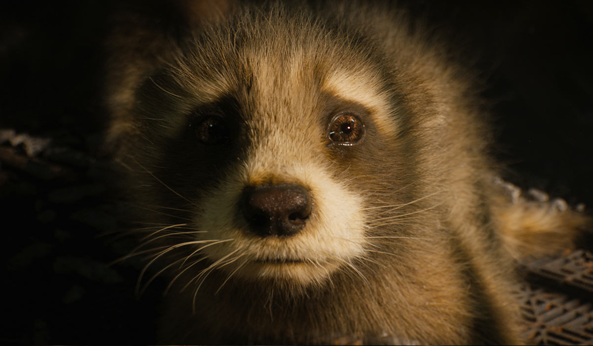 How A Global Effort Brought The Oscar-Nominated Guardians of the Galaxy Vol. 3 Visual Effects To Life