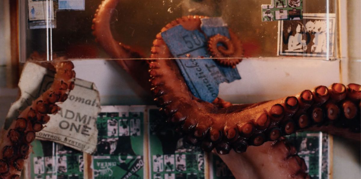 Scala!!! Or, the Incredibly Strange Rise and Fall of the World’s Wildest Cinema and How It Influenced a Mixed-up Generation of Weirdos and Misfits