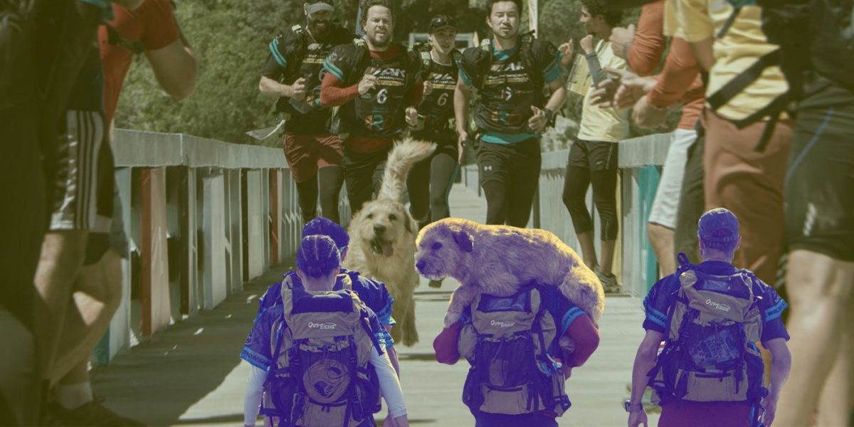 Chicago Fire Showrunner Talks Writing Arthur the King for Mark Wahlberg