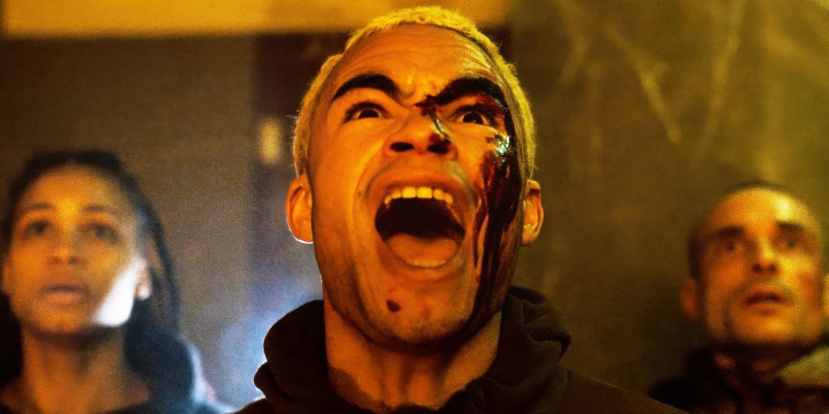 ‘Infested’ Review – This Is Why Pet Spiders Are a Bad Idea