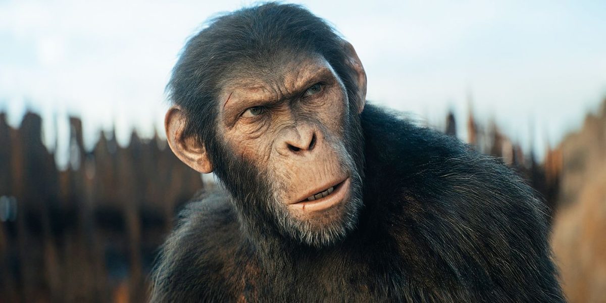 ‘Kingdom of the Planet of the Apes’ Trailer — Noa Fights For Freedom