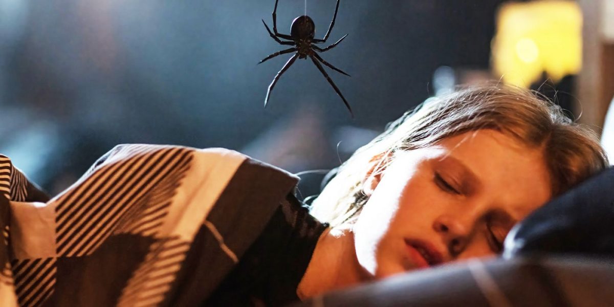‘Sting’ Review — A Creepy Spider Horror Movie Gets Caught in Its Own Web