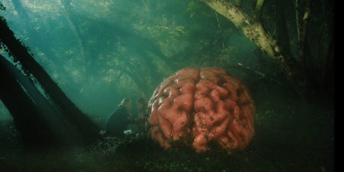 Star-Studded Cast Amplifies Dark Comedy On Political Crises & Poor Leadership