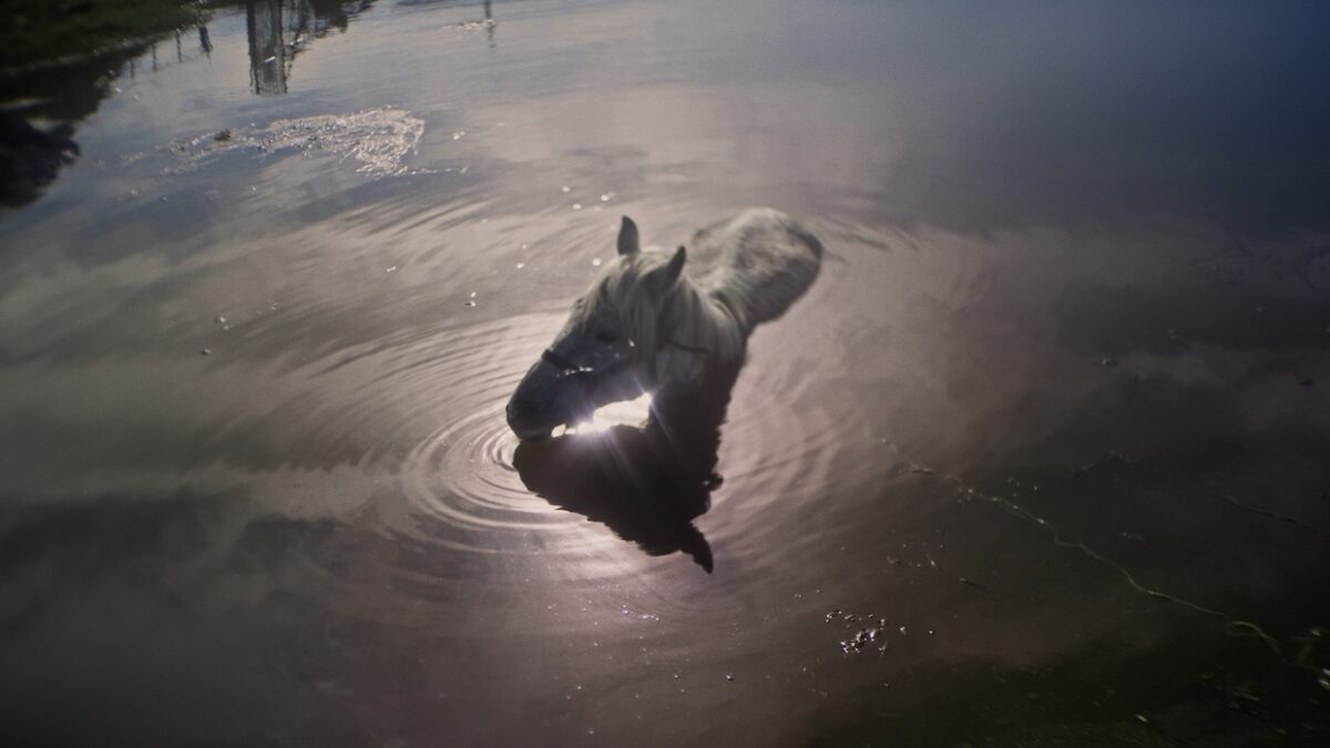 “Genocide Brain”: Christine Haroutounian on Berlinale 2025 Premiere After Dreaming