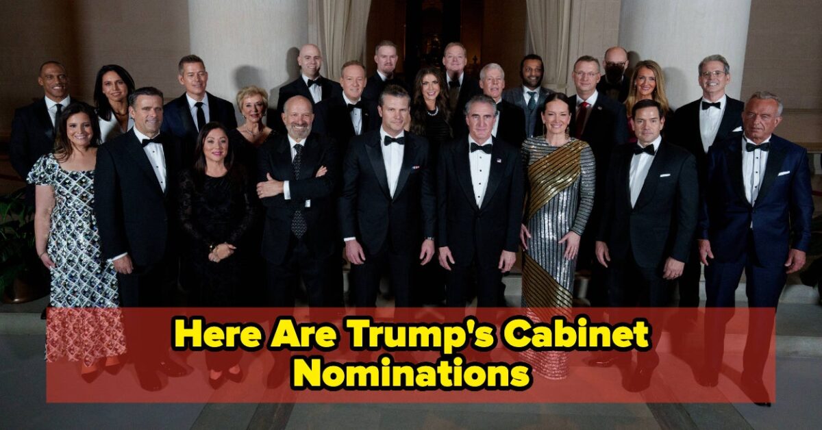 We Broke Down Exactly Who In Trump's Cabinet Has Actual Political Experience, And Has Absolutely Zero
