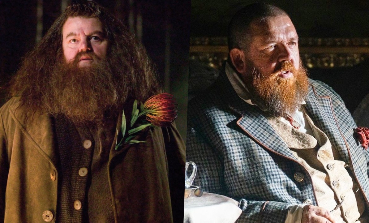 Nick Frost Nearing Deal To Play Lovable Creature-Wrangler Rubeus Hagrid In HBO Reboot Series