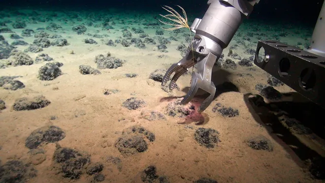 “The Link Between Exploration and Exploitation”: Eleanor Mortimer on How Deep Is Your Love