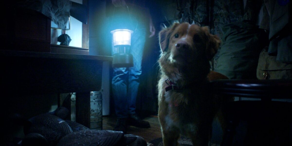 This Canine-Led Horror Movie Lives Up to Its Name