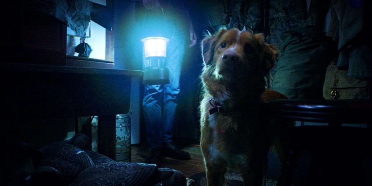 A Dog Becomes The Protagonist In This Weirdly Comforting Haunted House Horror Movie