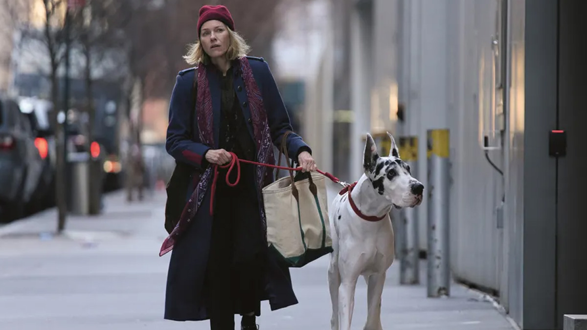 ‘The Friend’ Film Review: The Profundity of Friendship and Grief