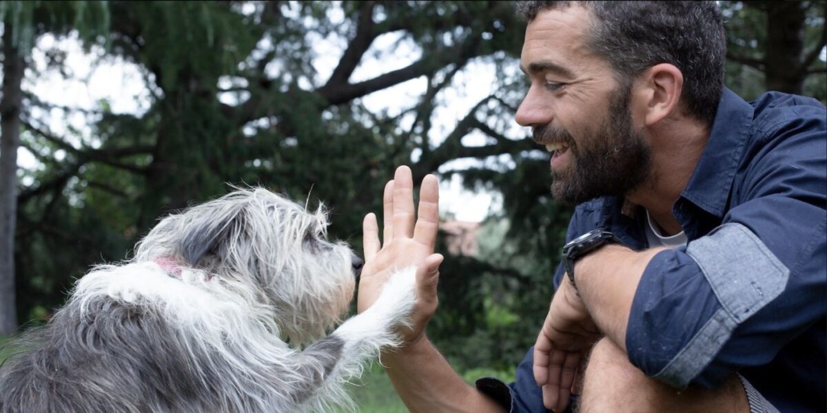 After Watching Bryce Dallas Howard’s Disney+ Documentary, I’ve Never Appreciated My Furry Friends More