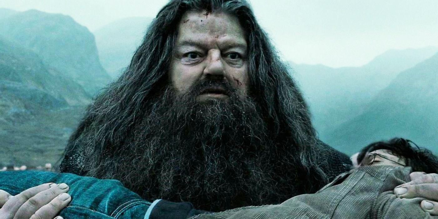 ‘Harry Potter’ Series Set Video Has Fans Hyped With Look at Nick Frost and Dominic McLaughlin