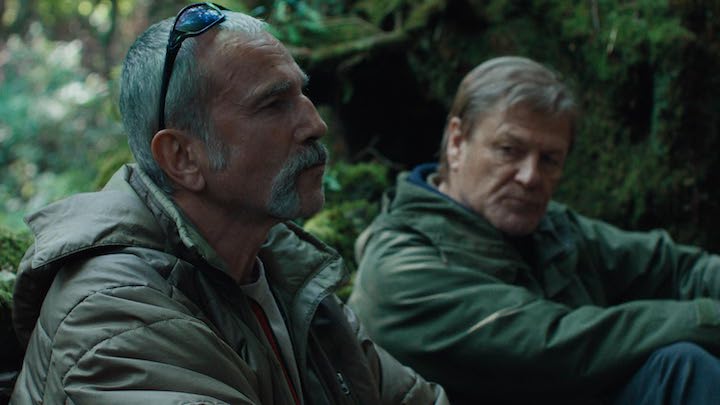 Anemone Review | Flickreel