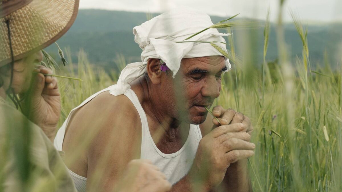 Ethereal Macedonian Documentary Details Struggle Against Capitalism, Climate Change